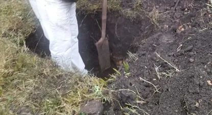 El Observador | 1659220140170.webp