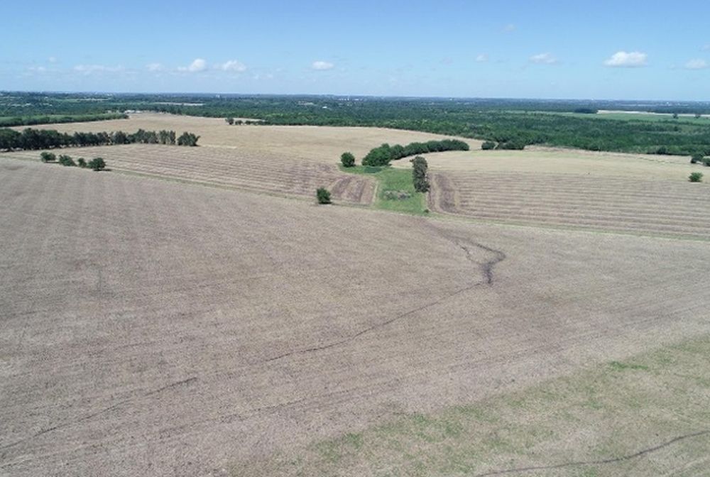 Predio donde se instalará la planta solar fotovoltaica de Teyma&nbsp;