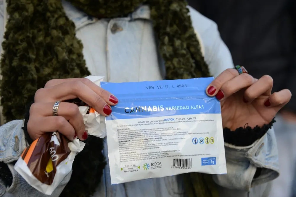 Este martes se cumplen 5 años de la venta de marihuana en farmacias