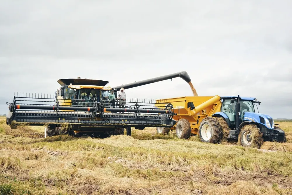 La zafra arrocera está a días de su finalización.
