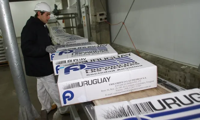 Las compras de China casi se duplicaron en 2012