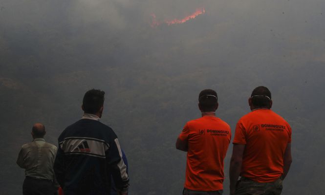 Año récord de incendios y la dolorosa cifra de daños irreparables para España