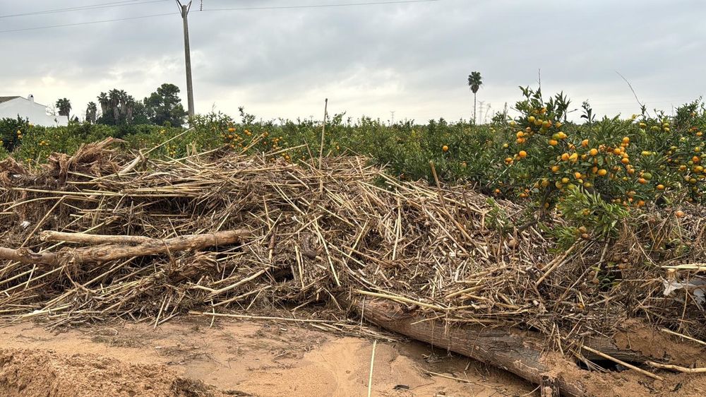 Limpieza de un cauce de la CHJ.