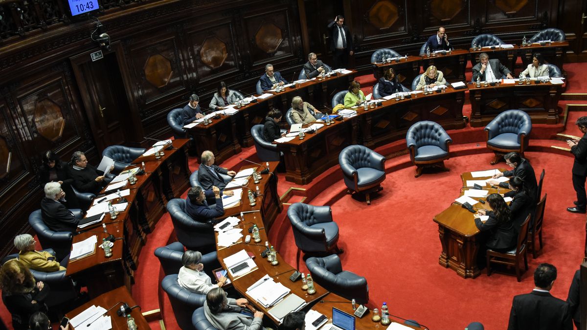 El Senado aprobó la Rendición de Cuentas 2024: la oposición no votó algunos artículos