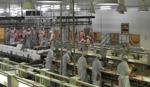 Núcleo duro industrial cayó en 2014 y alertan por nuevo descenso para este año
