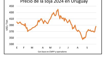 Mercado de granos, por Blasina y Asociados.