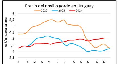 Novillos: el precio sigue en ascenso.