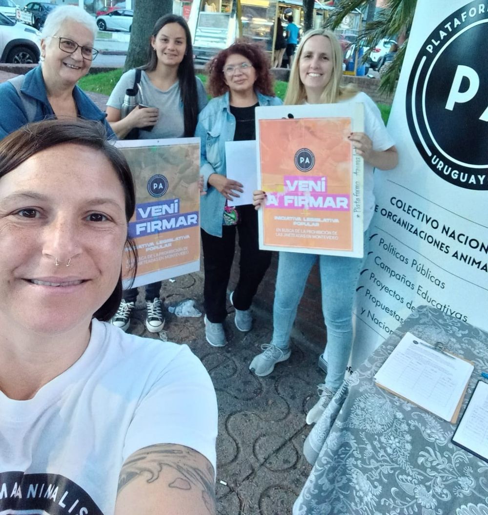 Plataforma Animalista: avanza la recolección de firmas para prohibir las jineteadas en Montevideo.