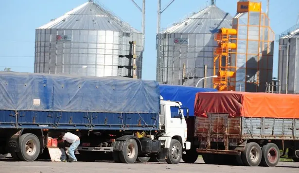 Todo importa para la inocuidad de la soja, desde las chacras hasta las terminales portuarias