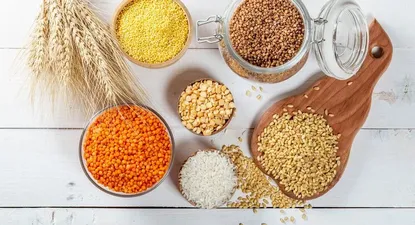 el bicho que arruina los alimentos secos de tu despensa y como combatirlo