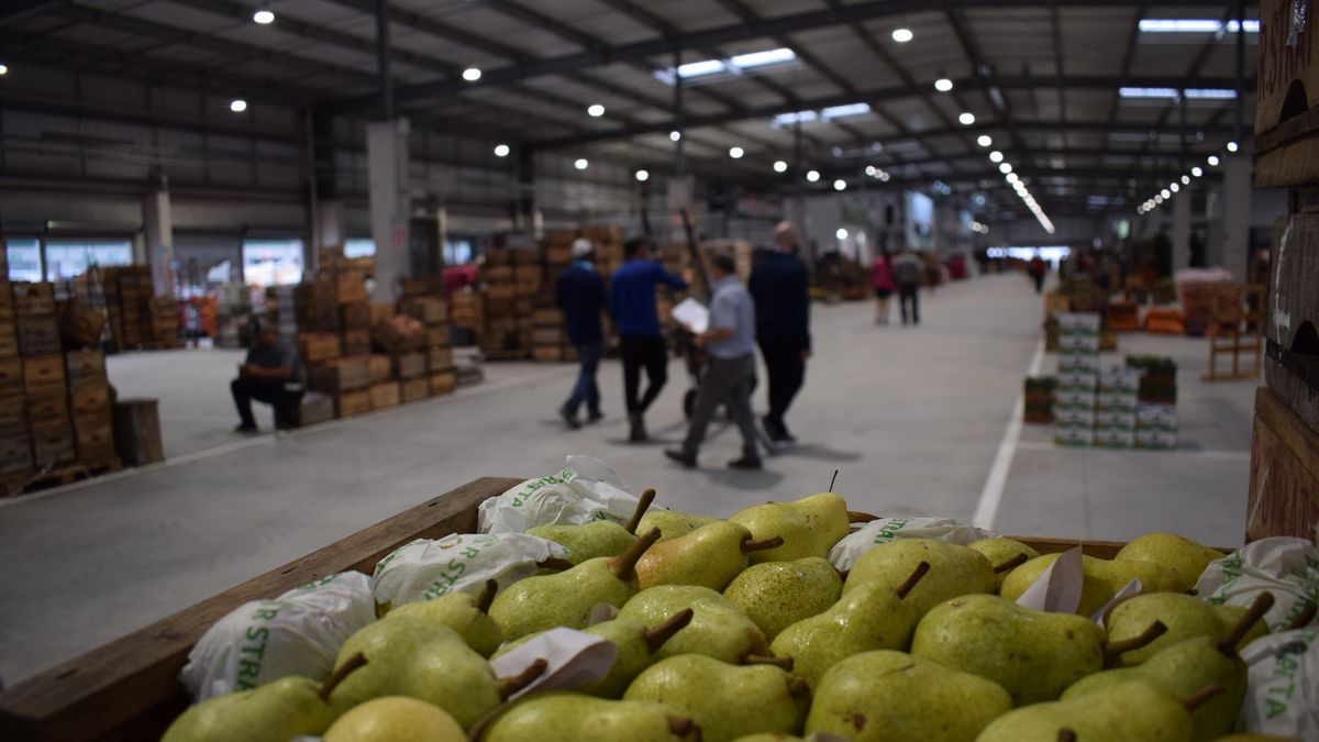 Para quien vaya por frutas y verduras al puesto: la nueva lista inteligente, los precios y las alzas y bajas