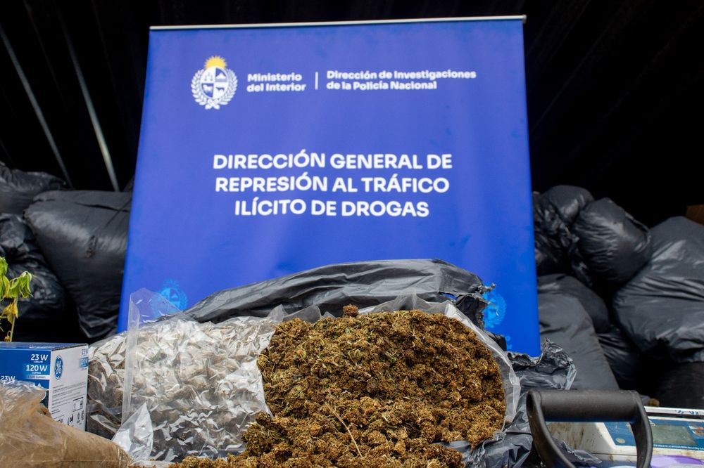 WhatsApp Image 2025-12-09 at 5.15.23 PM