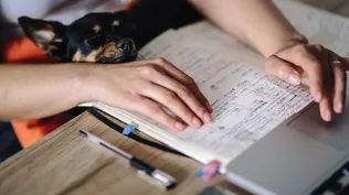 Llamados laborales en tres instituciones