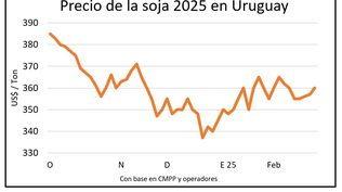 Mercado de granos, Blasina y Asociados.