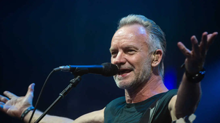 Sting