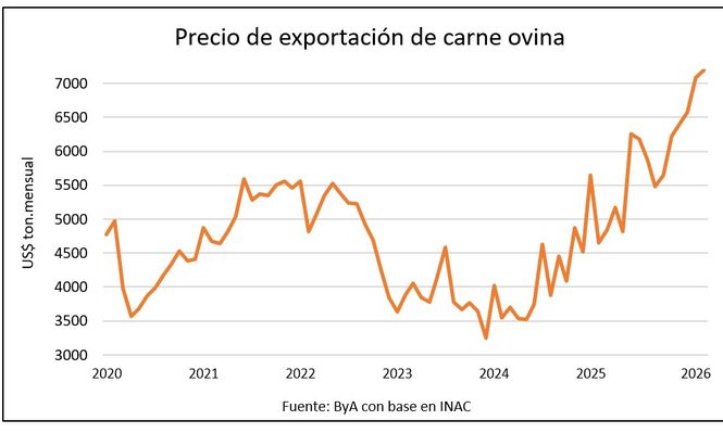 Rubro ovino: buenos indicadores mejoran el ánimo de los productores en Uruguay.