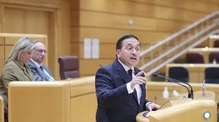 El Ministro de Asuntos Exteriores, José Manuel Albares, durante una sesión de control al Gobierno,