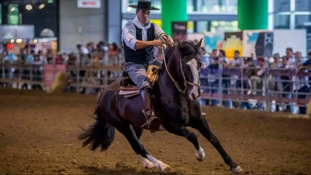 Activistas veganos irrumpieron en una exhibición de caballos en La Rural