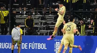 Brandon Álvarez&nbsp;