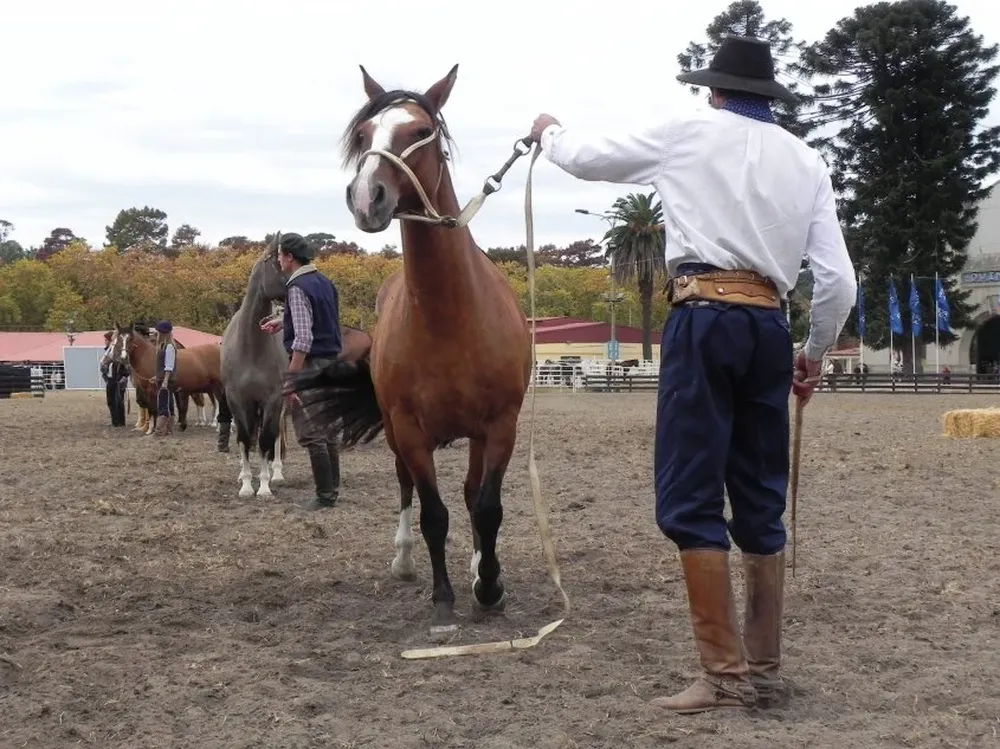 Criollos suspendió la actividad en las Expo de Rivera, Melo, Artigas y Río Branco.