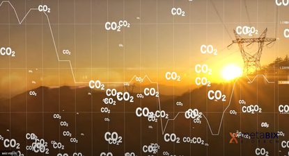 El Observador | image