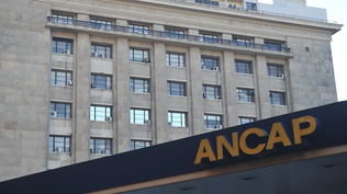 Ancap y su negocio de cal para Brasil: pérdidas por ajustes y dudas a futuro