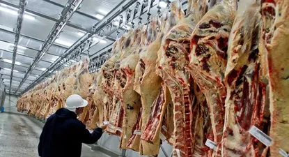Ajuste de stock de vacunos a la baja, menor producción y demanda sostenida explican suba de la carne