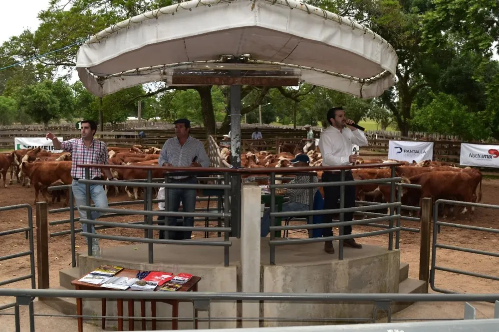 Silveira Negocios Rurales rematará este martes 19 de julio.