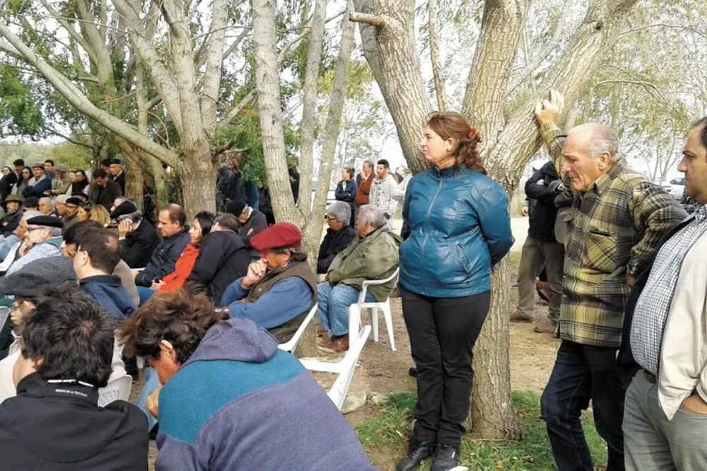 El segundo compartimento ovino tendrá una alta participación de productores