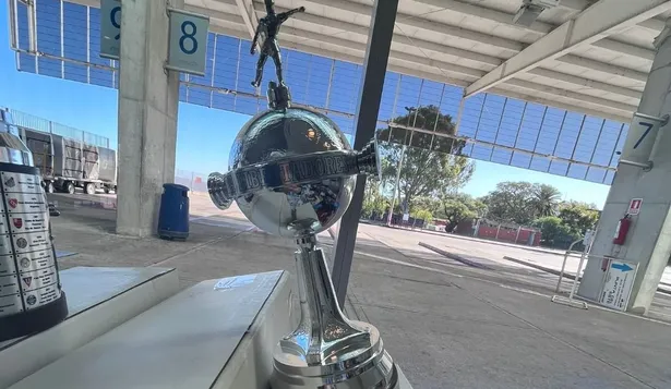 Kimonos, maniquíes y una Copa Libertadores: Aduanas incautó mercaderías por más de $ 3 millones