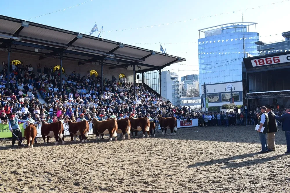 La fila final de hembras.