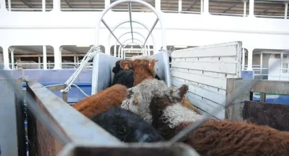 El Observador | 0014064446.webp