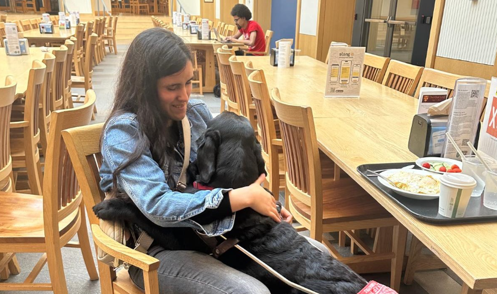 Captura de pantalla 2025-12-05 104219