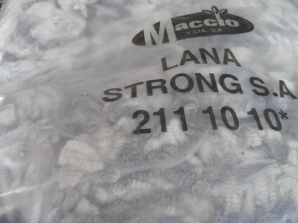 Exportaciones de lanas uruguayas al alza durante 2021.