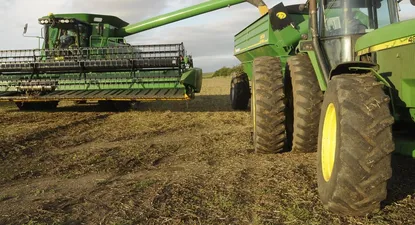 El Observador | 1551719938221.webp