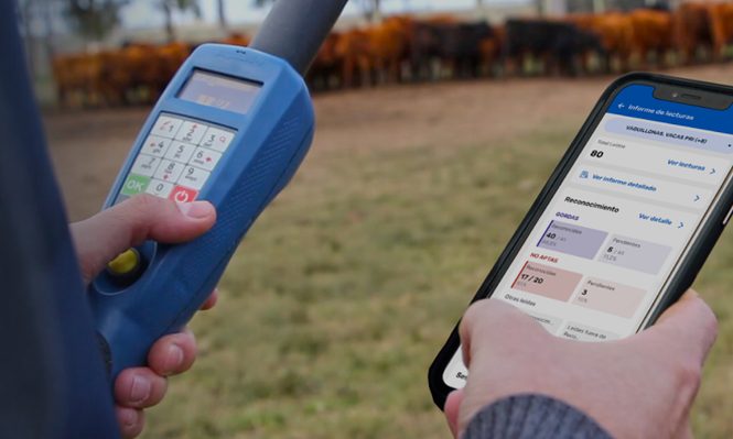 Del robot fumigador al lector digital de caravanas: un repaso por ocho empresas uruguayas que están transformando el agro