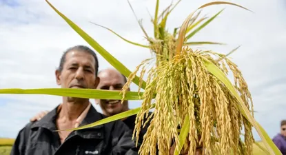 El Observador | 0015938285.webp