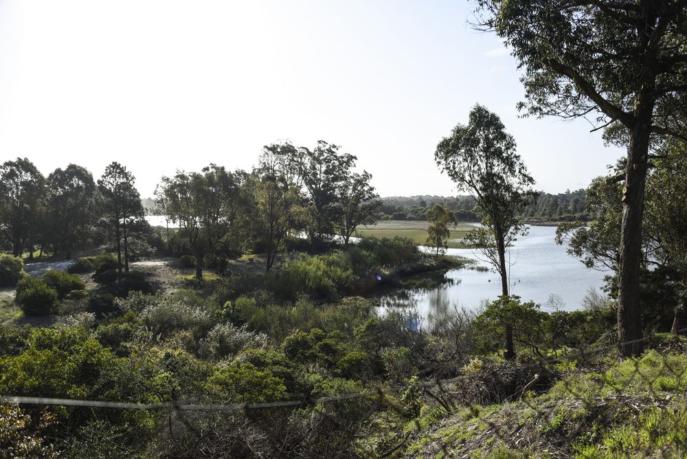 20240926 Proyecto de barrio privado en Solis Chico, genera quejas en vecinos de La Floresta. (1).jpg