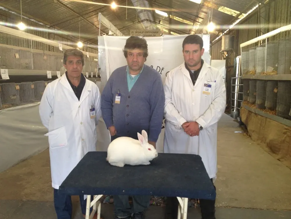 El jurado junto al conejo del premio máximo