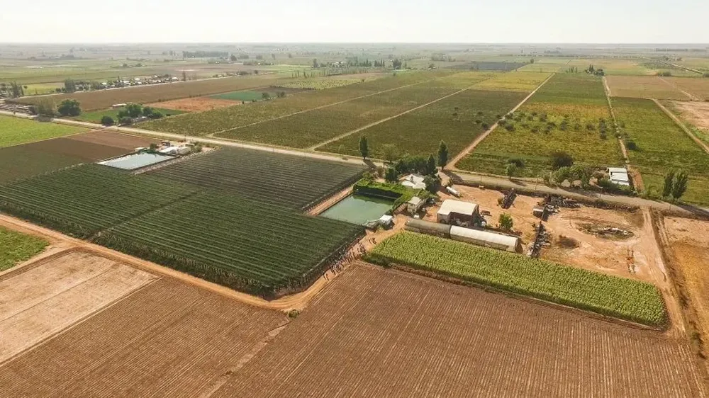 La planta de deshidratación regional de Knorr ubicada en Mendoza, Argentina