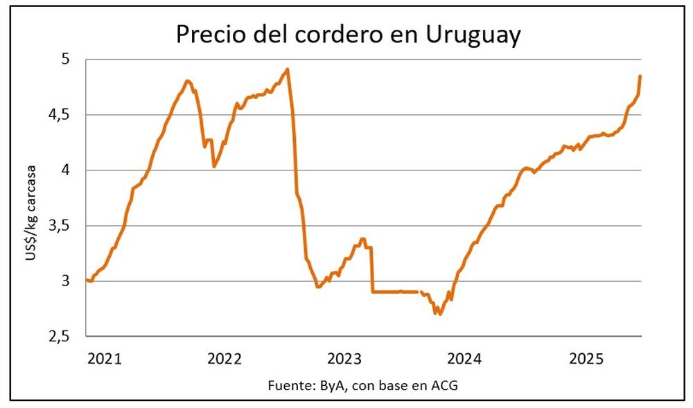 Carne ovina y la materia prima con valores tonificados.