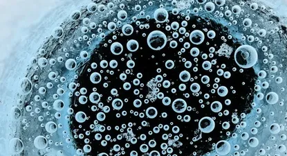 El Observador | 0000354641.webp