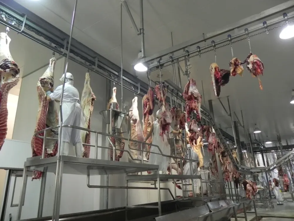 El tema de pago en tercera o cuarta balanza de frigoríficos no está resuelto aún