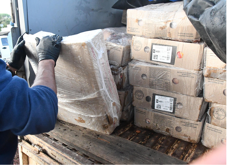 Gripe Aviar: en Uruguay no hubo casos en granjas comerciales y el combate al contrabando es unas de las herramientas clave para mantener ese estatus.