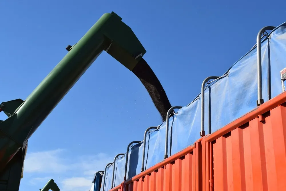 Cosecha de colza en campos de San José.