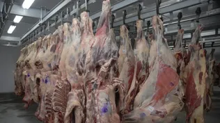 Precios de las materias primas continúan sin encontrar su piso