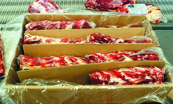 Ahora la carne Aberdeen Angus podrá ingresar a Europa certificada por INAC.