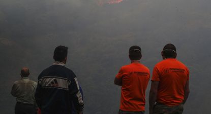 Año récord de incendios y la dolorosa cifra de daños irreparables para España