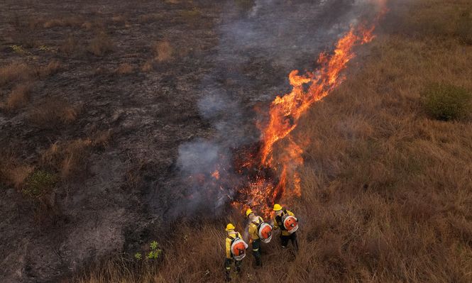 Brasil: la situación es, muchos casos, de tal gravedad que hay pérdidas totales.