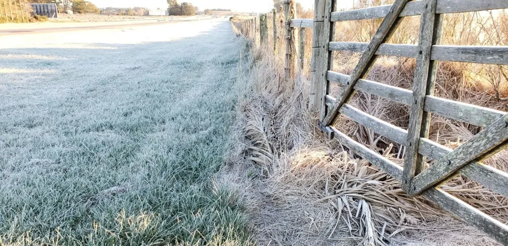 Heladas en todo el país en el último día de ola de frío